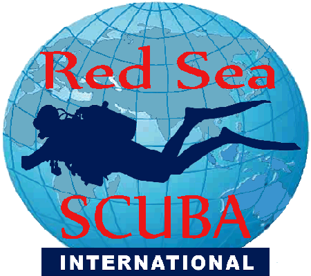 &Agrav; Propos Easy Divers (maintenant Red Sea Scuba Intl.)
