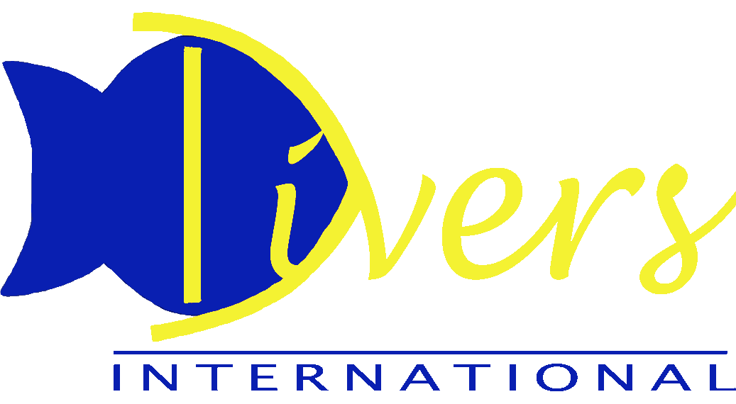 Aller &agrav; notre autre site - Page d'accueil de Divers International