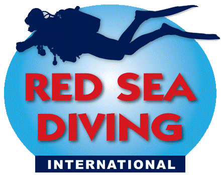 Visitez notre autre site pour Red Sea Divers International